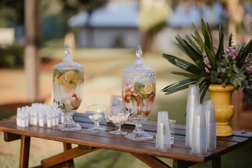 Infused hydration bar